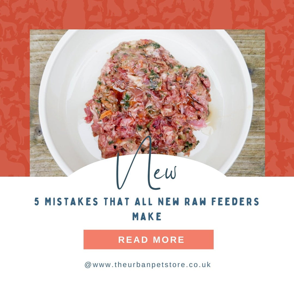 5 Mistakes That All New Raw Feeders Make - The Urban Pet Store