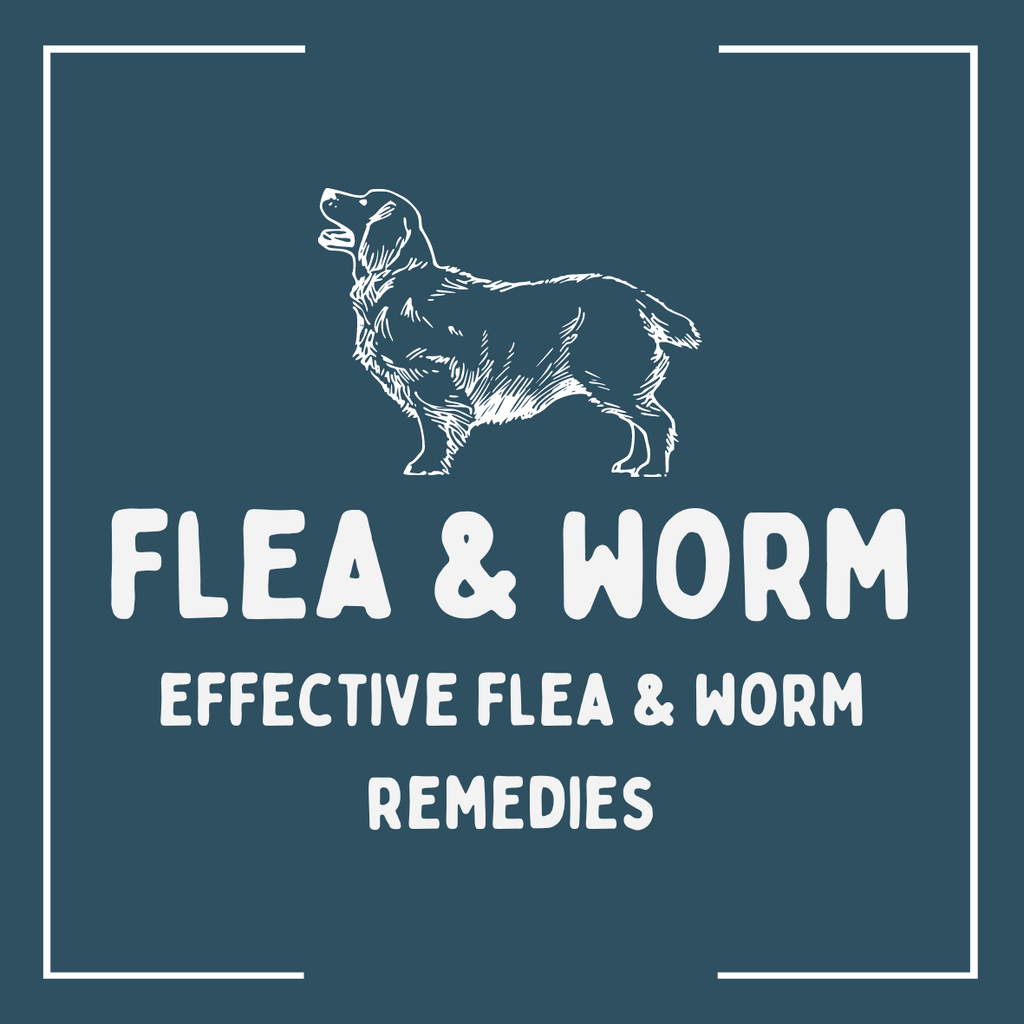 Flea, Tick + Worming - The Urban Pet Store