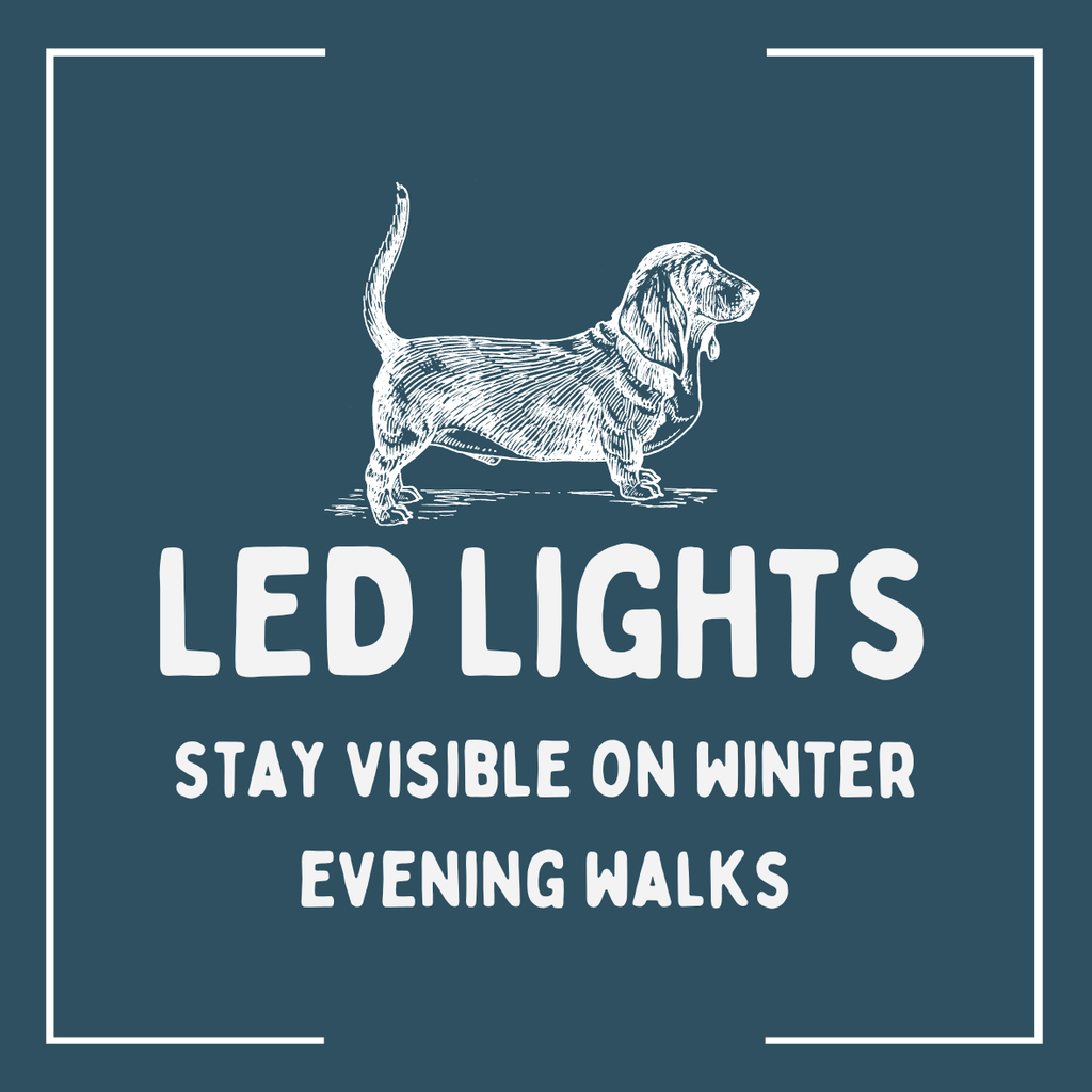 Winter LED Lights - The Urban Pet Store