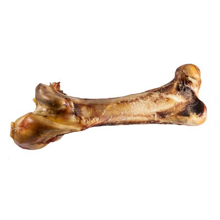 Antos Paddock Farm Ostrich Dino Bone - The Urban Pet Store - Dog Treats