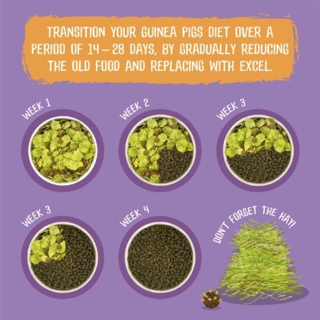 Burgess Excel Guinea Pig Nuggets with Blackcurrant & Oregano - The Urban Pet Store - Small Animal Food