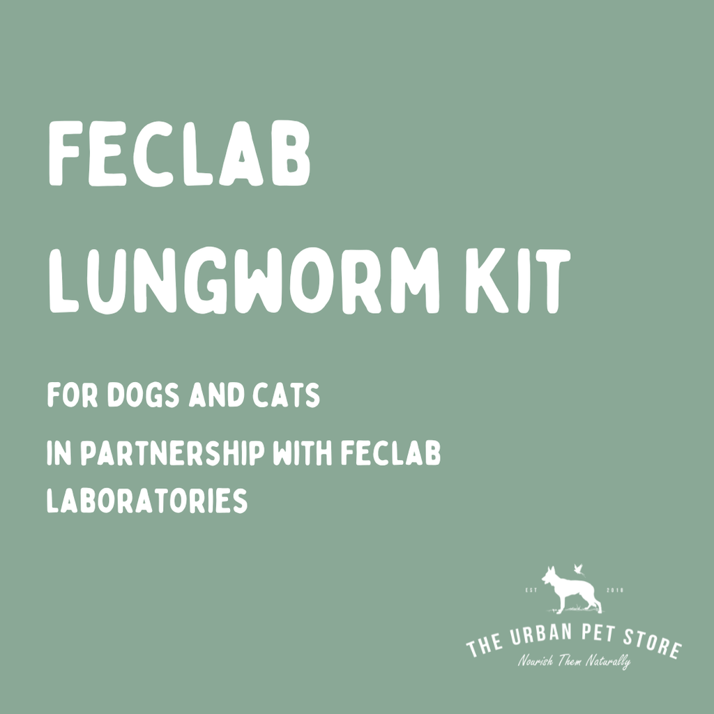 Feclab Lungworm Testing Kit (Home Test) - The Urban Pet Store - Dog Supplies