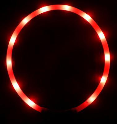 Flashing LED Collar with Rechargeable USB (4 Colours) - The Urban Pet Store -