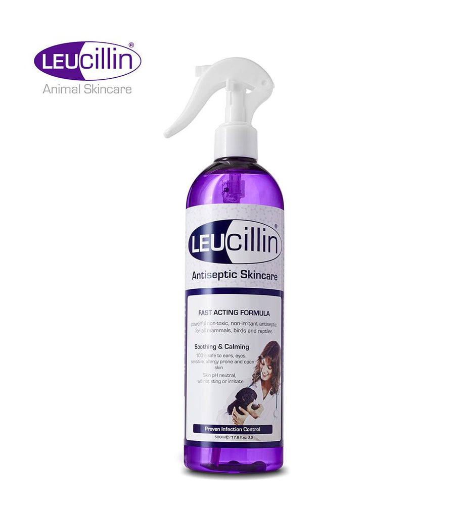 Leucillin Non Toxic Antiseptic Animal Skin Spray 500ml - The Urban Pet Store - Pet Medicine