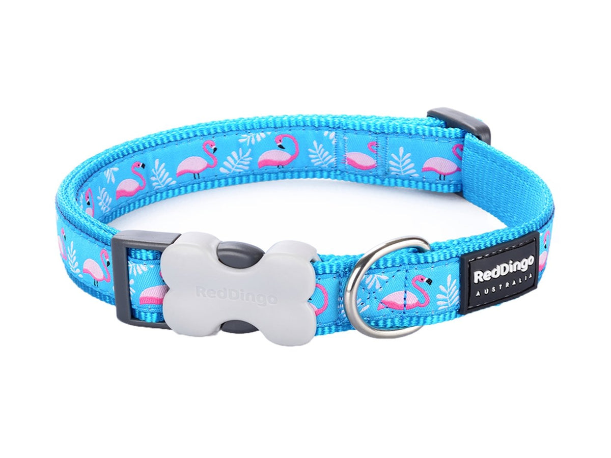 Flamingo clearance dog collar