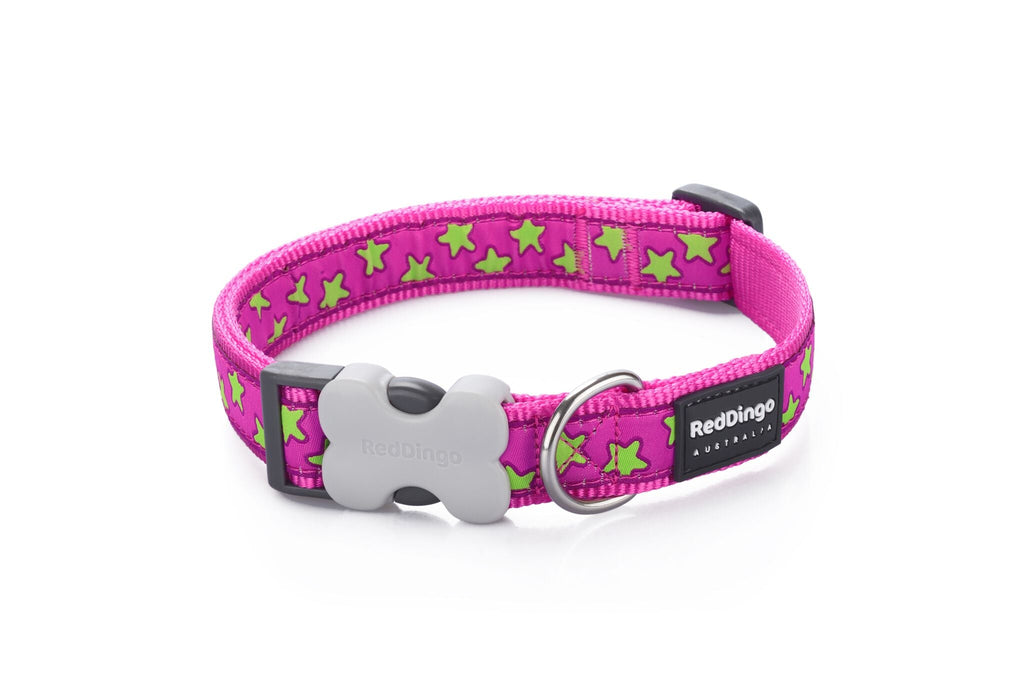 Red Dingo Dog Collar, Pink Star - The Urban Pet Store -