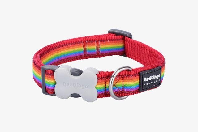 Red Dingo Dog Collar, Rainbow - The Urban Pet Store -
