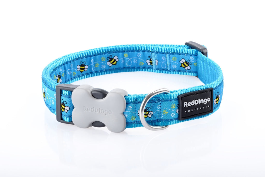 Red Dingo Dog Collar, Turquoise Bumblebee - The Urban Pet Store -