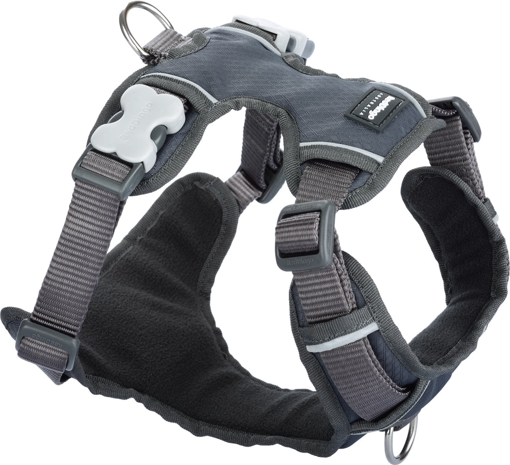 Red Dingo Padded Harness, Grey - The Urban Pet Store -