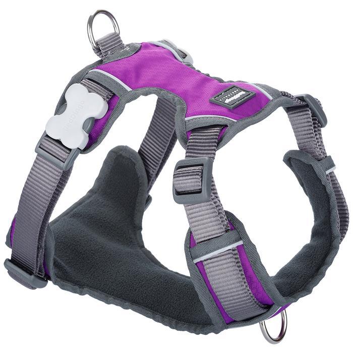 Red Dingo Padded Harness, Purple - The Urban Pet Store -