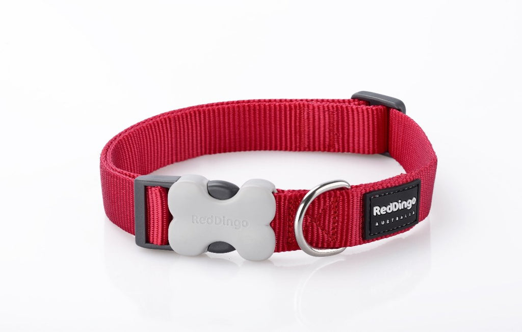 Red Dingo Plain Dog Collar, Red - The Urban Pet Store -