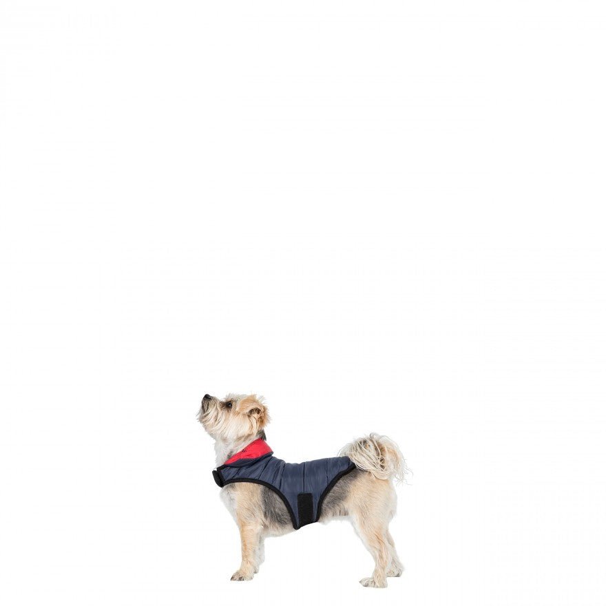 Trespaws Kimmi Reversible Quilted Dog Coat - The Urban Pet Store -