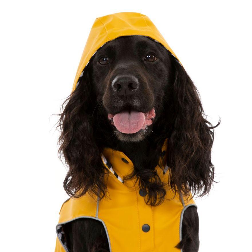 Trespaws Seadog Waterproof Dog Coat - The Urban Pet Store -