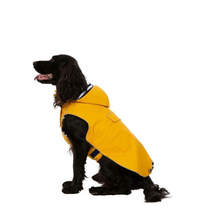 Trespaws Seadog Waterproof Dog Coat - The Urban Pet Store -