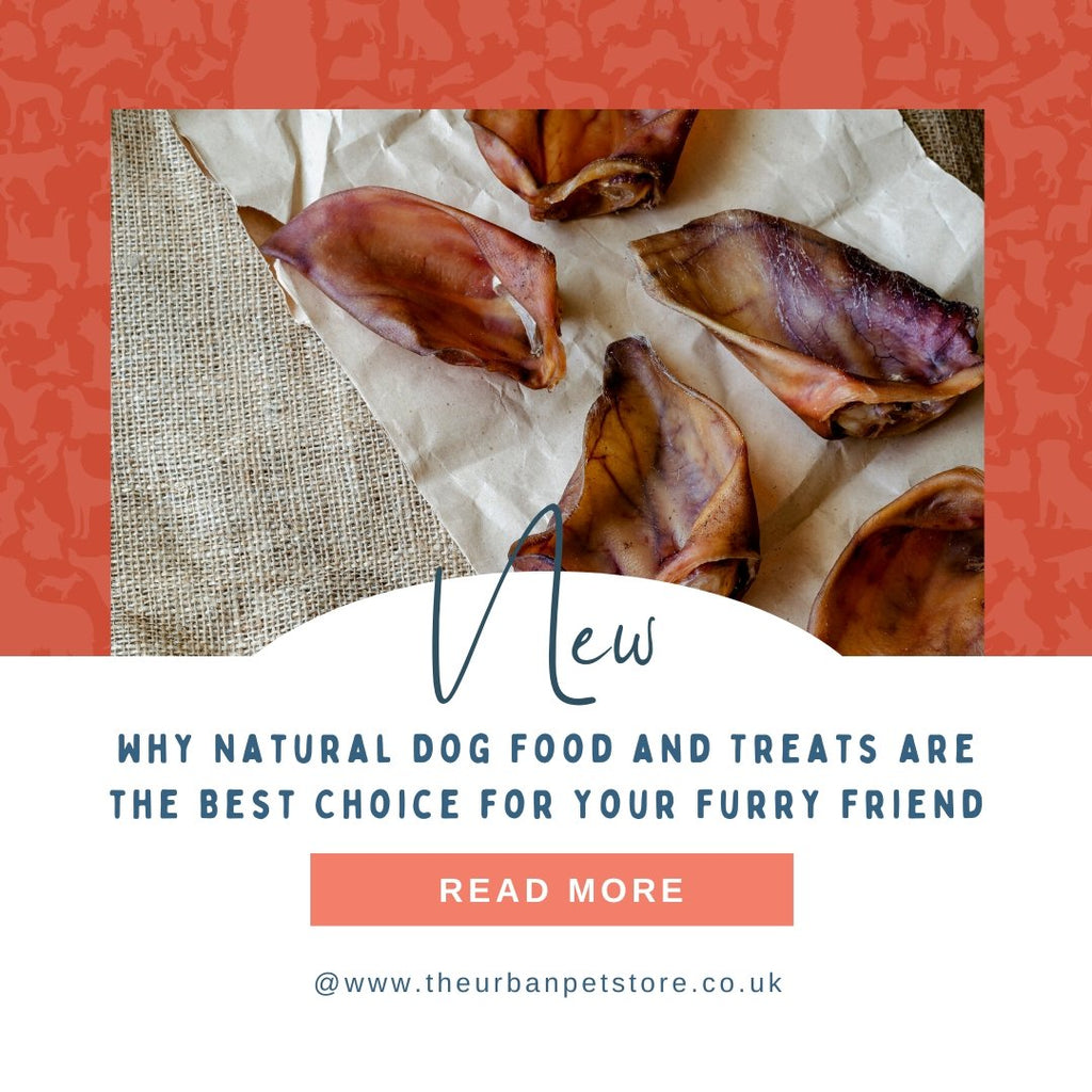 Why Natural Dog Food and Treats are the Best Choice for Your Furry Friend - The Urban Pet Store