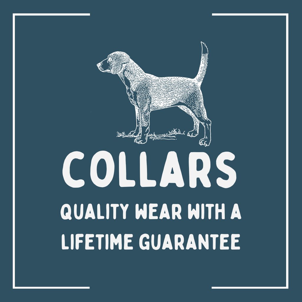 Dog Collars - The Urban Pet Store