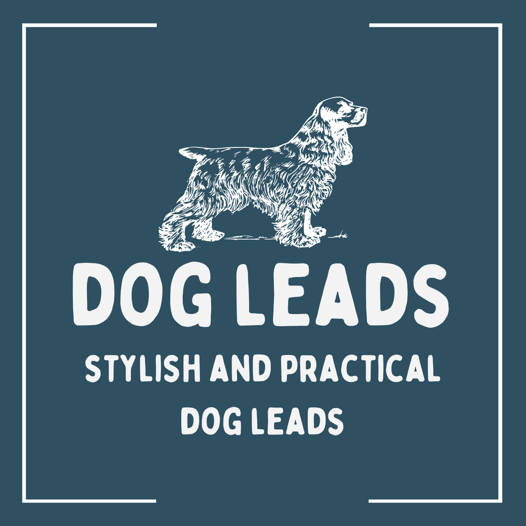 Dog Leads - The Urban Pet Store