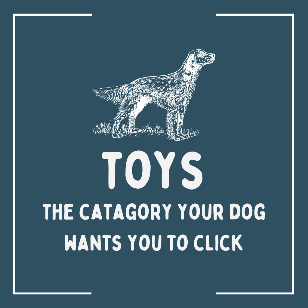 Dog Toys & Enrichment - The Urban Pet Store