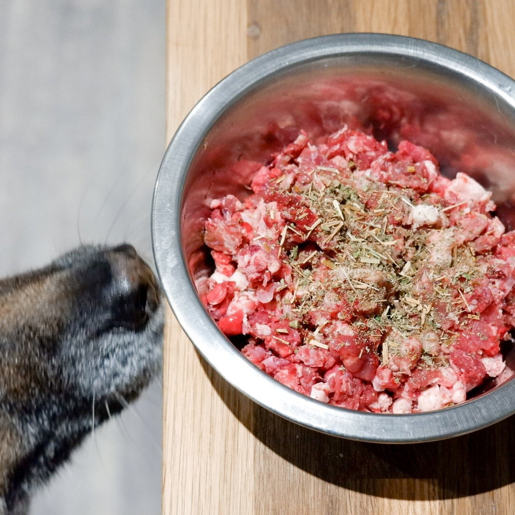 A bowl of raw dog food on a kitchen worktop with a german shepherds nose sniffing it