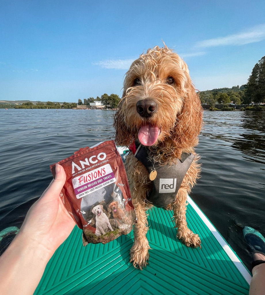 Anco Fusions Venison Infused Beef Treats 100g - The Urban Pet Store - Dog TreatsAnco5060586230005
