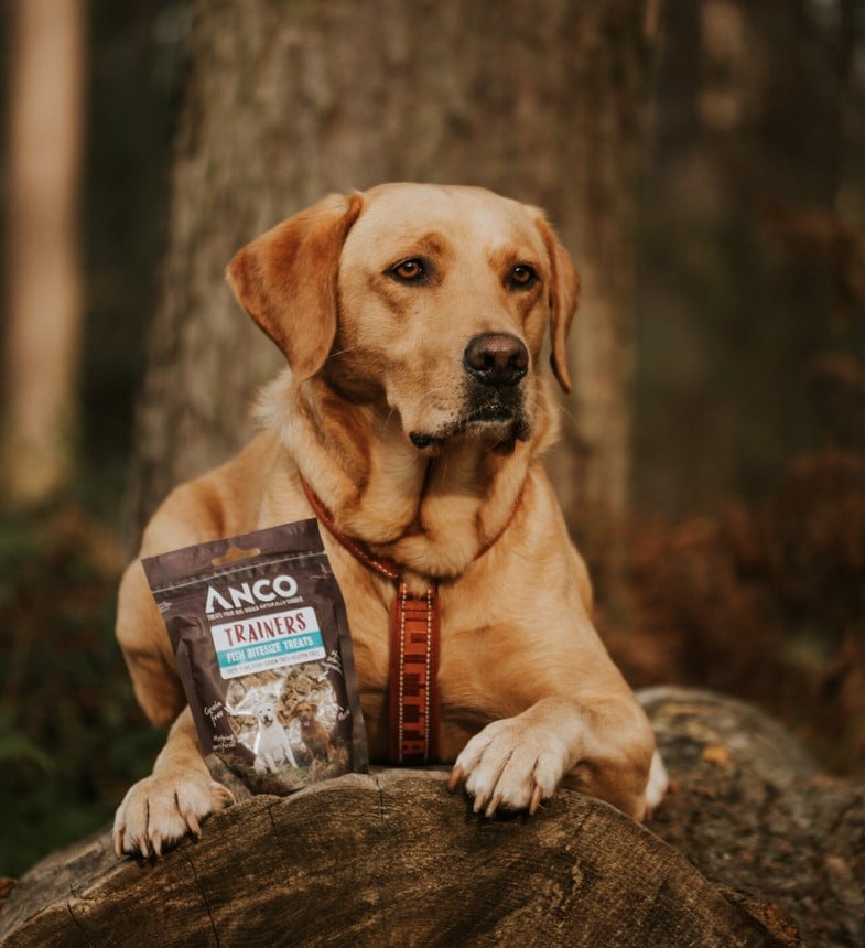 Anco Trainers Fish Bitesize Treats - The Urban Pet Store - Dog TreatsAnco5060586231019
