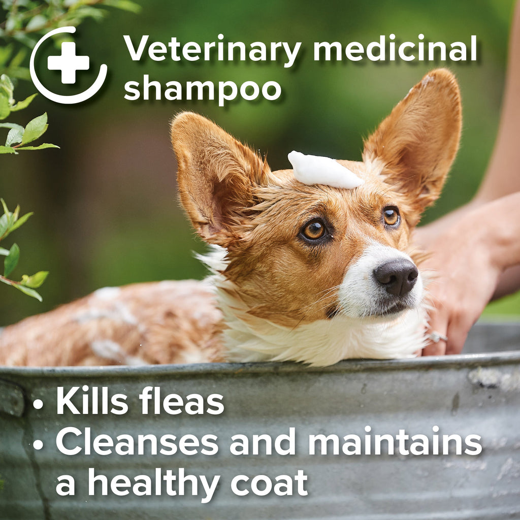 Beaphar Insecticidal Shampoo for Dogs 250ml - The Urban Pet Store - The Urban Pet Store8711231211227