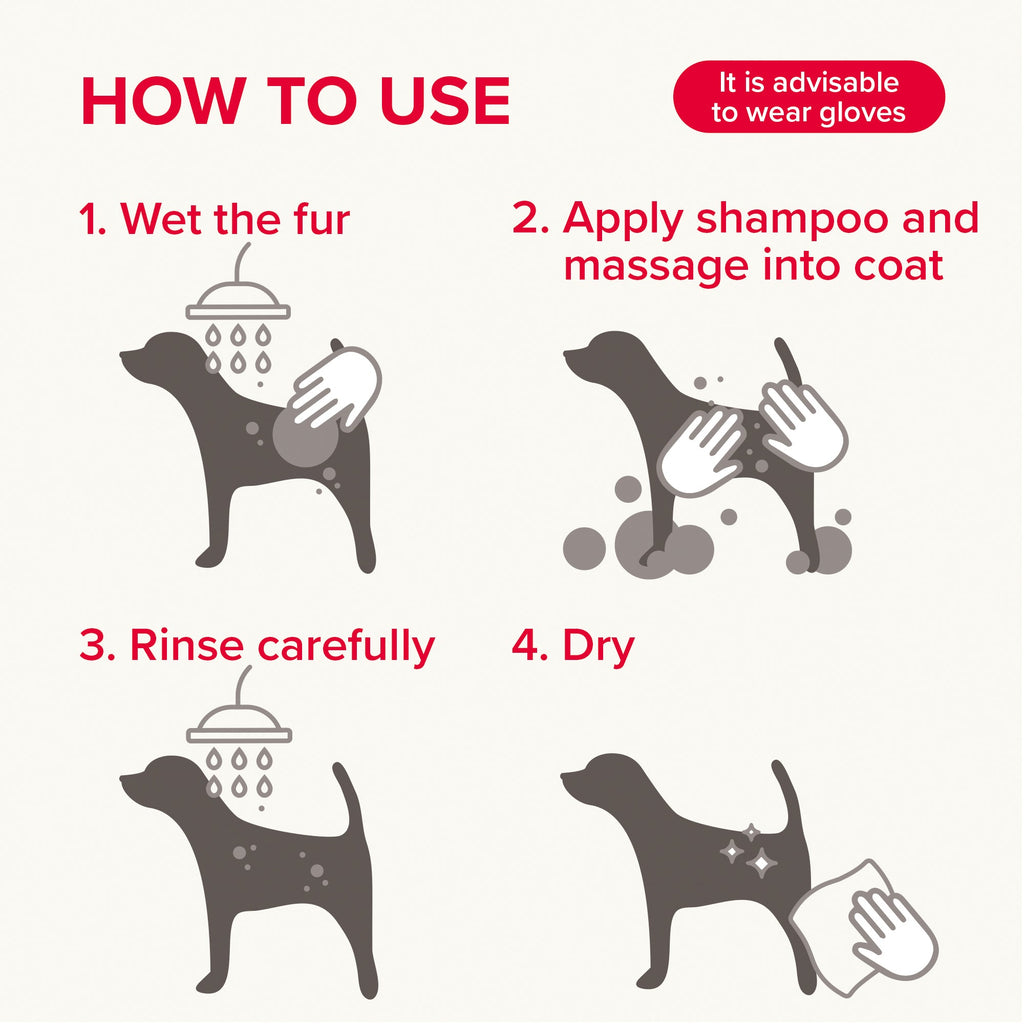 Beaphar Insecticidal Shampoo for Dogs 250ml - The Urban Pet Store - The Urban Pet Store8711231211227