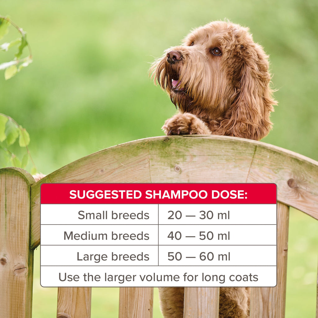 Beaphar Insecticidal Shampoo for Dogs 250ml - The Urban Pet Store - The Urban Pet Store8711231211227