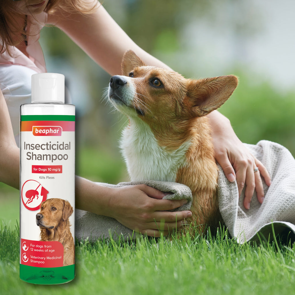 Beaphar Insecticidal Shampoo for Dogs 250ml - The Urban Pet Store - The Urban Pet Store8711231211227
