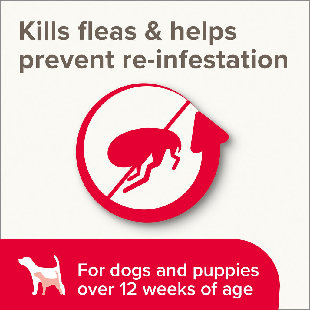 Beaphar Insecticidal Shampoo for Dogs 250ml - The Urban Pet Store - The Urban Pet Store8711231211227