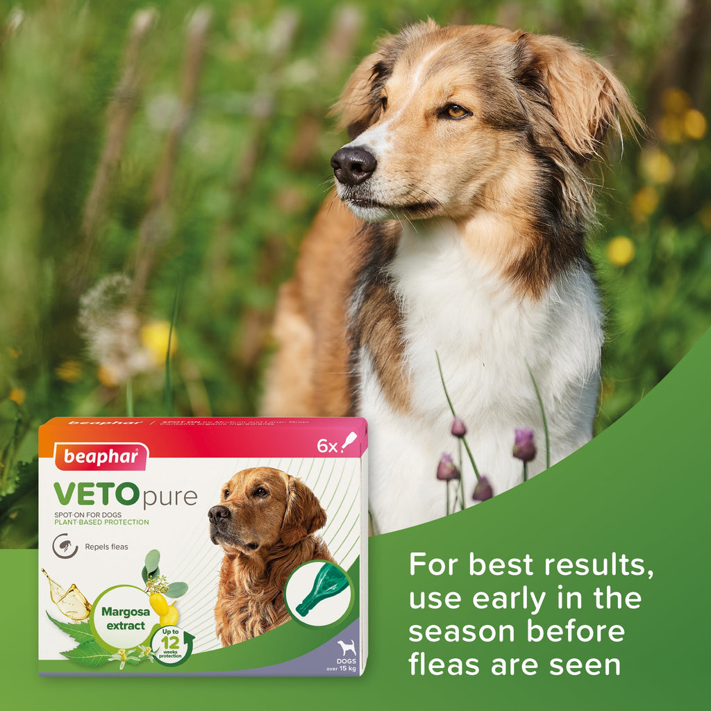 Beaphar VETOpure Plant - Based Flea Repellent for Medium to Large Dogs - The Urban Pet Store - Pet MedicineBeaphar8711231108817