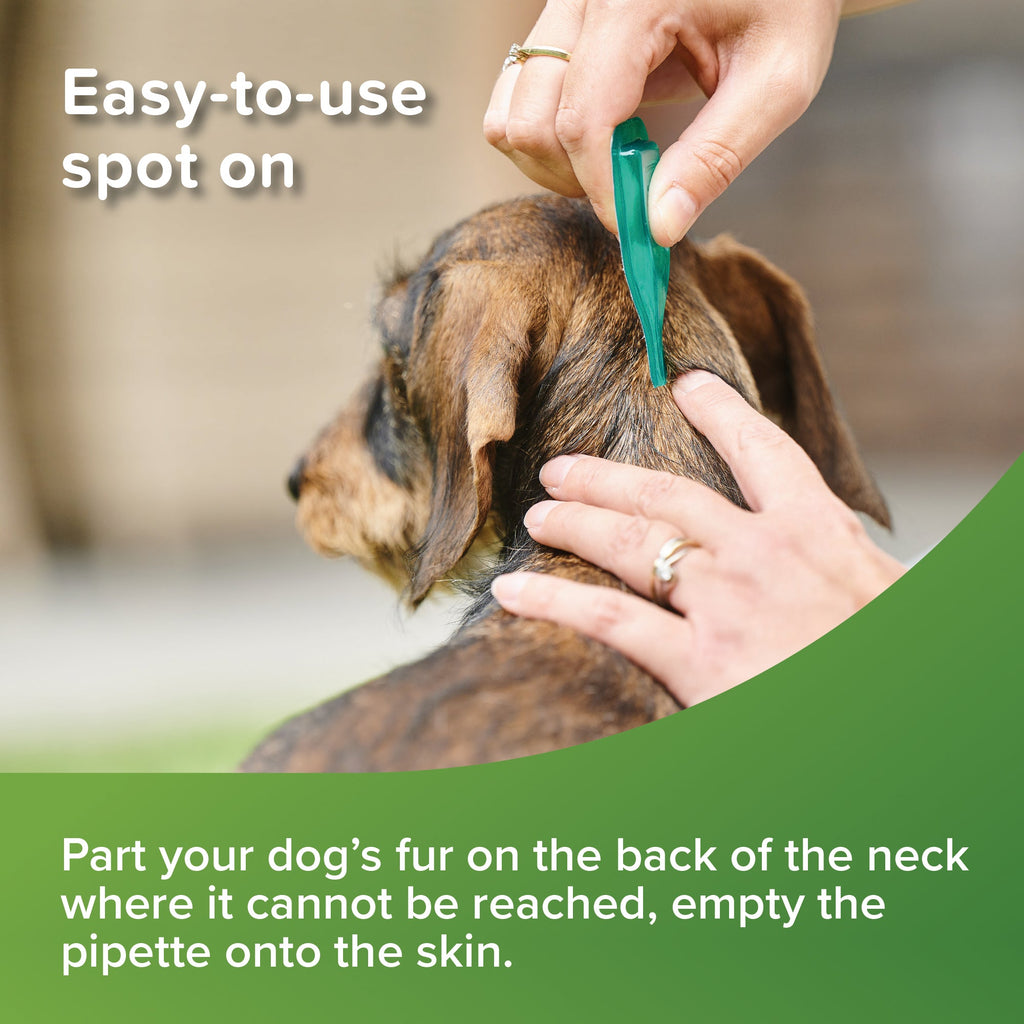 Beaphar VETOpure Plant - Based Flea Repellent for Medium to Large Dogs - The Urban Pet Store - Pet MedicineBeaphar8711231108817