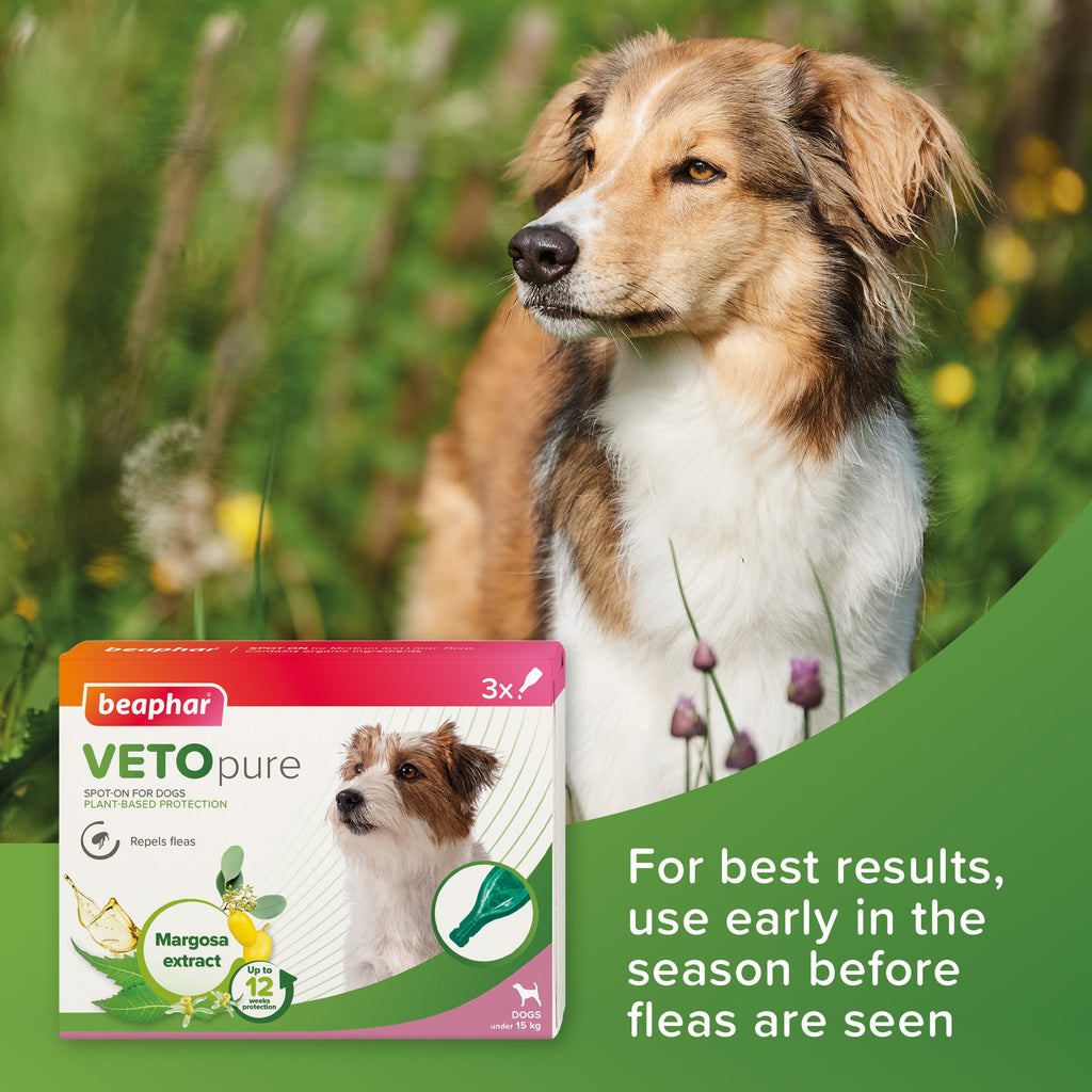 Beaphar VETOpure Plant - Based Flea Repellent for Small Dogs - The Urban Pet Store - Pet MedicineBeaphar8711231108800