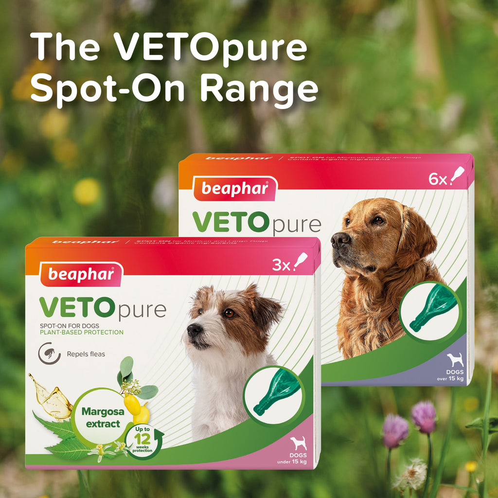 Beaphar VETOpure Plant - Based Flea Repellent for Small Dogs - The Urban Pet Store - Pet MedicineBeaphar8711231108800