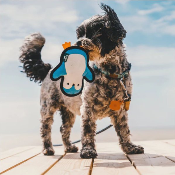 Beco Recycled Rough and Tough Penguin - The Urban Pet Store - Dog Toys