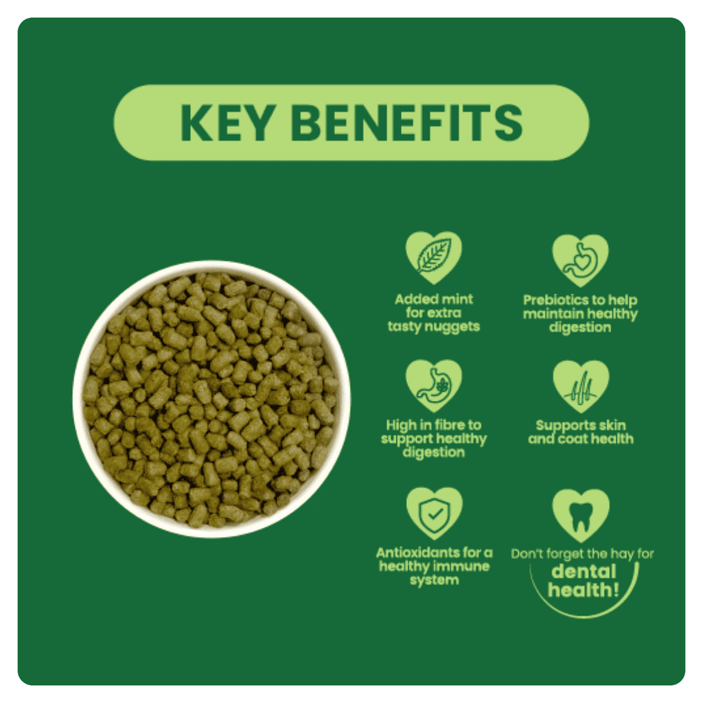 Burgess Excel Adult Rabbit Nuggets with Oregano - The Urban Pet Store - Small Animal Food