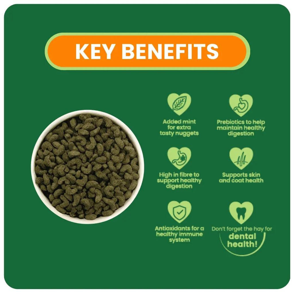Burgess Excel Guinea Pig Nuggets with Mint - The Urban Pet Store - Small Animal Food