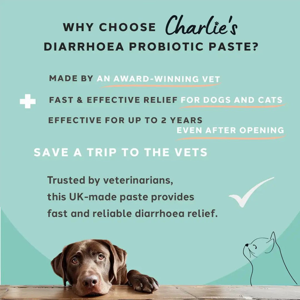 Charlie The Vet Diarrhoea Care Probiotic Paste - The Urban Pet Store - Pet MedicineCharlie the Vet5065011137072