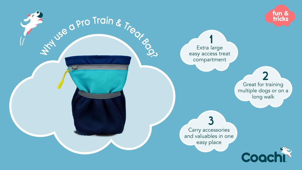 Coachi Train & Treat Bag Navy & Light Blue - The Urban Pet Store - Dog SuppliesCoachi886284413121