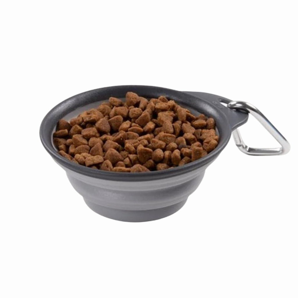 Dexas Collapsible Travel Cup Grey - The Urban Pet Store - Pet Bowls, Feeders & WaterersDexas084297309183