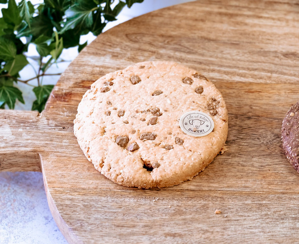 Giant Cookies - The Urban Pet Store - The Urban Pet Store8775154263