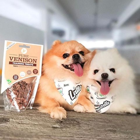 JR Pure Venison Training Treats 85g - The Urban Pet Store - Dog TreatsJR Pet Products0634158676123