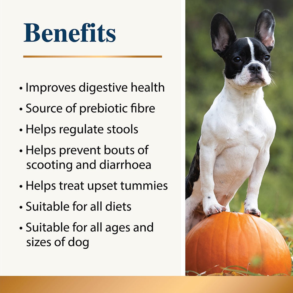 Karnlea Pumpkin Powder for Dogs 200g - The Urban Pet Store - Dog Supplies