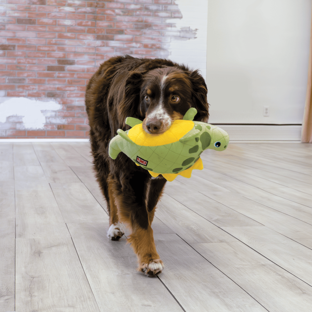 KONG Dynos Roars Green - The Urban Pet Store - Dog ToysKONG035585499543