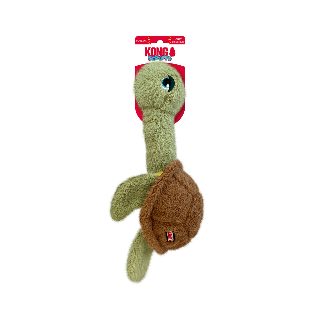 KONG Scruffs Turtle Medium Large - The Urban Pet Store - Dog ToysKONG035585499888