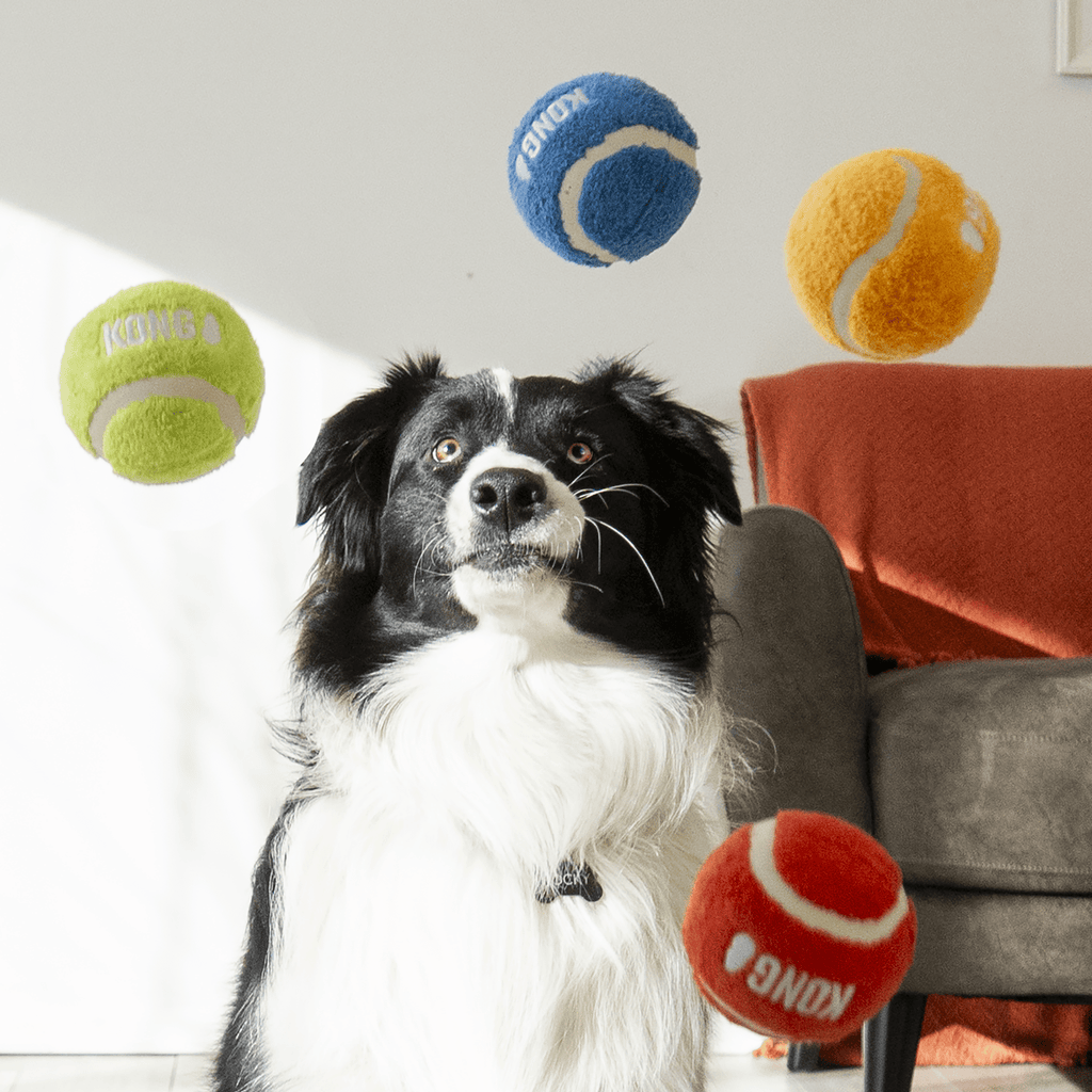 KONG Sport Softies Balls 3pk - The Urban Pet Store - Dog ToysKONG035585529103