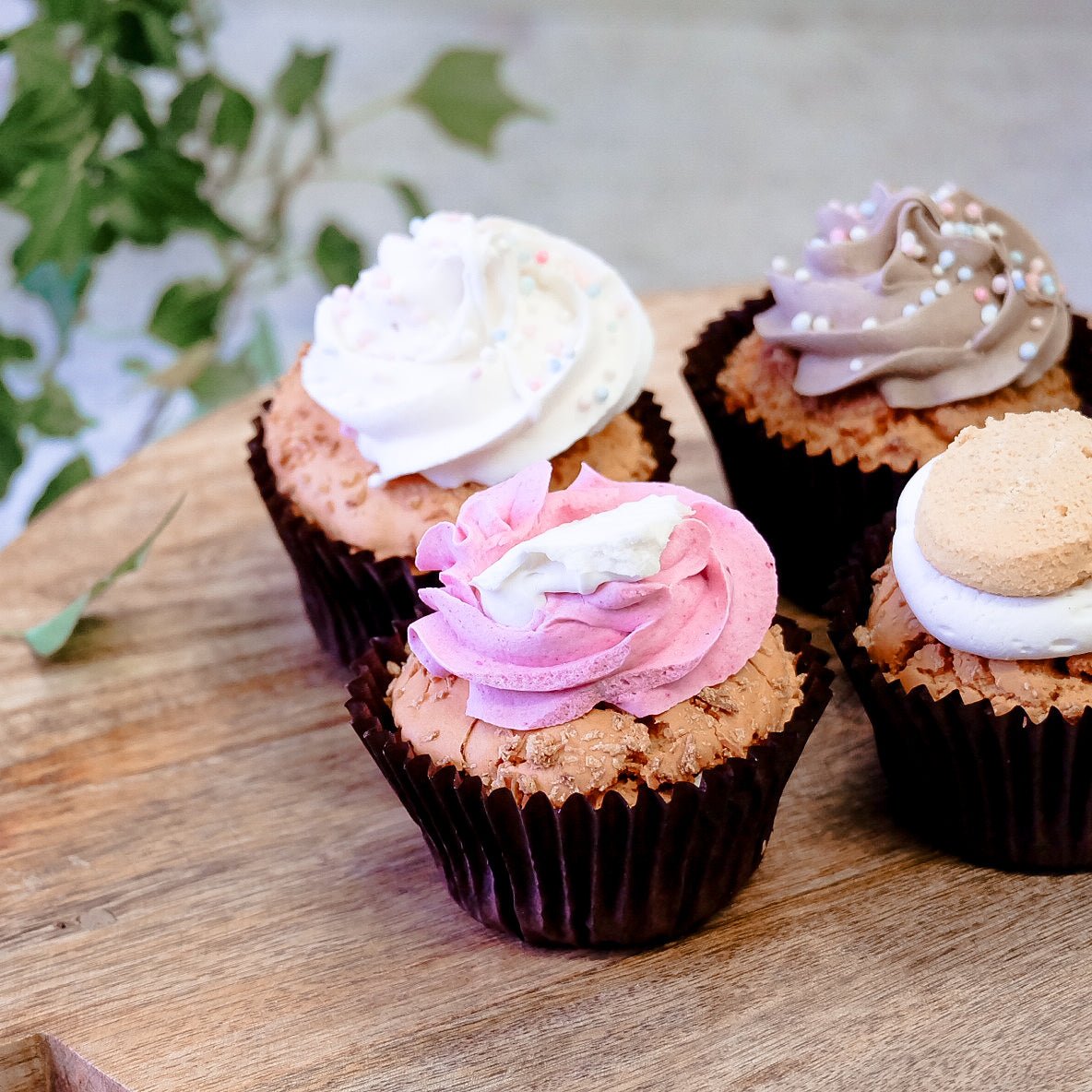 Life of Riley Luxury Pawty Pupcakes | The Urban Pet Store