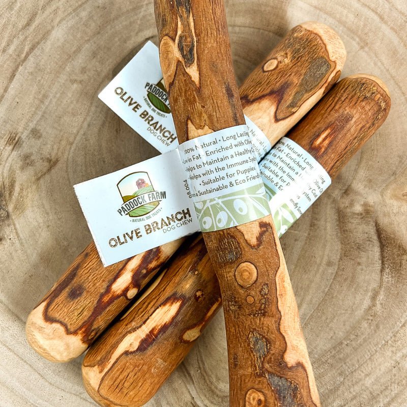 Origins Olive Branch Dog Chew - The Urban Pet Store - Dog TreatsNova0744678062839