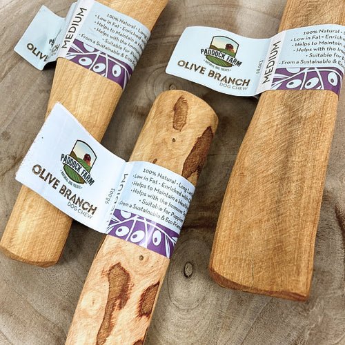 Origins Olive Branch Dog Chew - The Urban Pet Store - Dog TreatsNova0744678062839