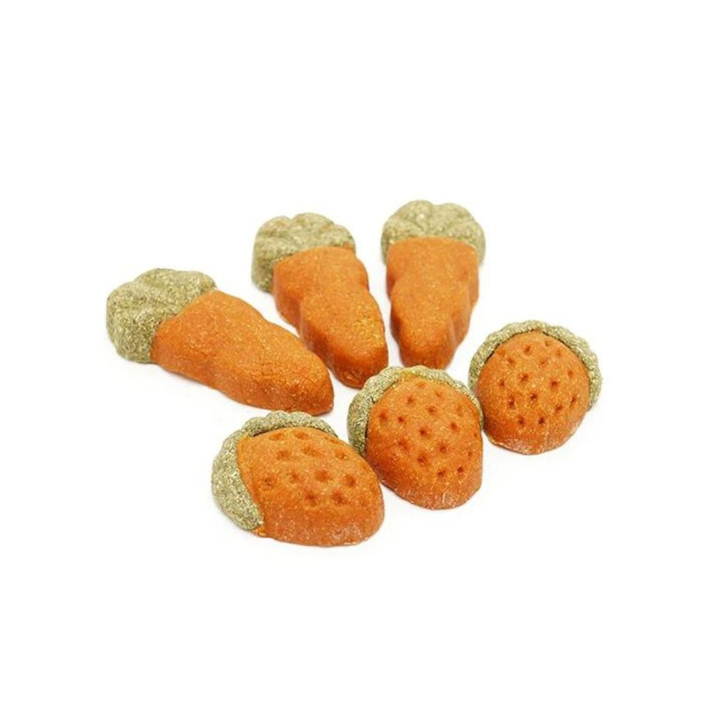 Rosewood Gnawty 'n' Nice Fruit & Veg (6pc) - The Urban Pet Store - Small Animal Treats